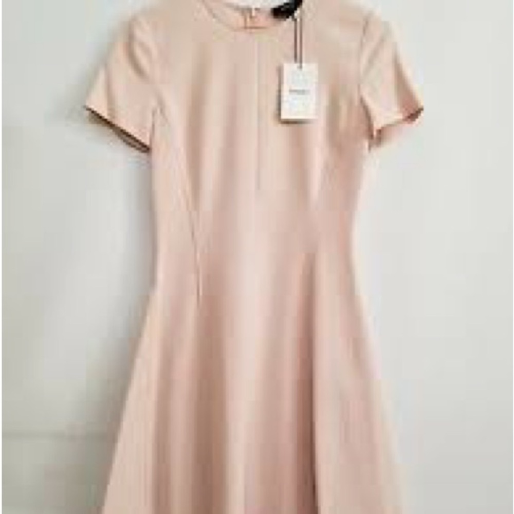 NWT Theory Sheared Baby Pink Admiral Shift Dress Work Casual Minimalist sz 6